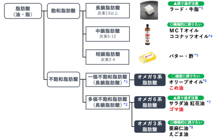 脂肪酸の種類の解説