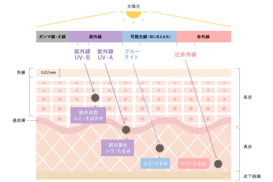 太陽光による光老化